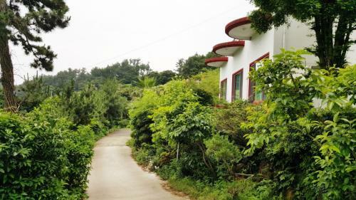 Dreaming Forest Seogwipo