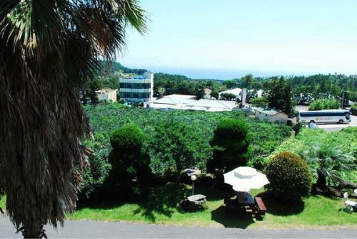 Hera Castle Pension