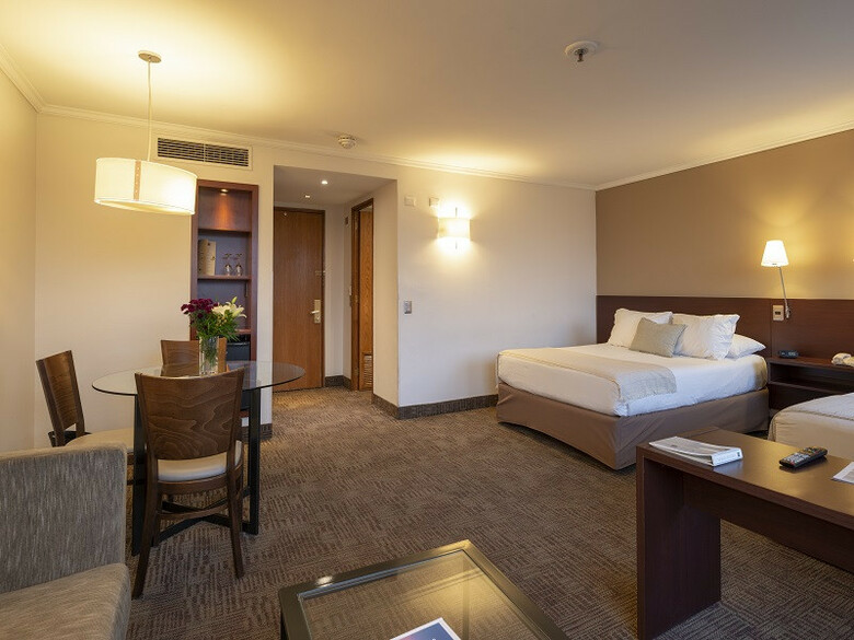 Hotel Director Vitacura