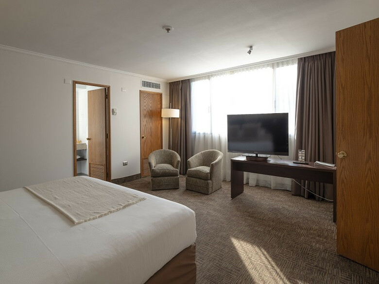 Hotel Director Vitacura