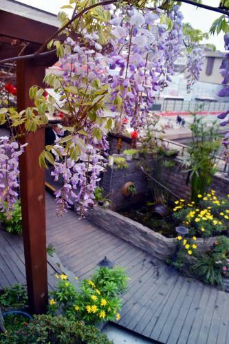 Posada Chengdu Season Inn.youth Inn