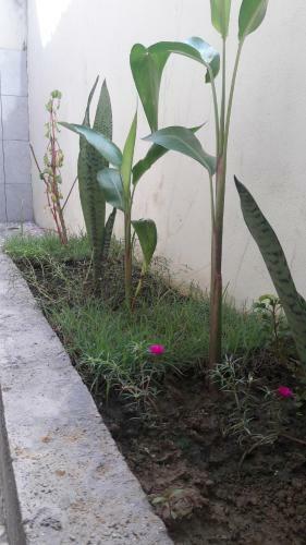 Heavenly Homestay Kuta Lombok