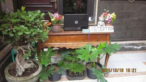 Bali Semesta Hostel