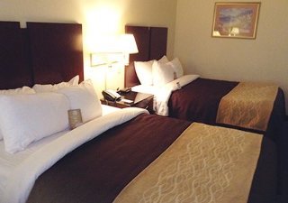 Hotel Comfort Inn & Suites Ft.jackson Maingate