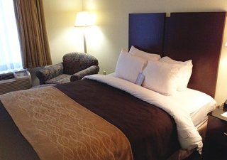 Hotel Comfort Inn & Suites Ft.jackson Maingate