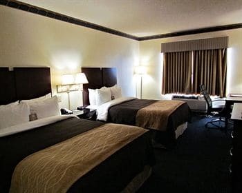 Hotel Comfort Inn & Suites Ft.jackson Maingate