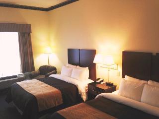 Hotel Comfort Inn & Suites Ft.jackson Maingate