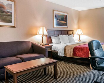 Hotel Comfort Inn (livonia)