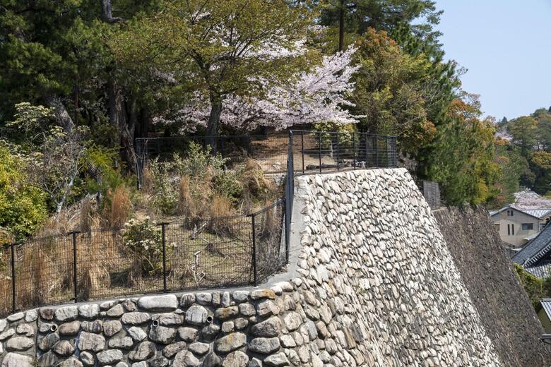 Hotel Miya Rikyu