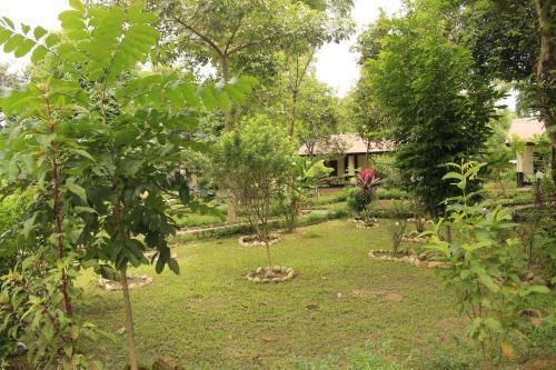 Hotel Chitwan Safari Camp & Lodge
