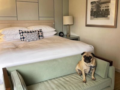 Hotel Arizona Biltmore (cl�sico)