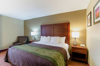 Hotel Comfort Inn (apex)