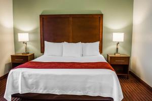 Hotel Comfort Suites (leesburg)