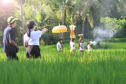 Villa Puri Landu Ubud