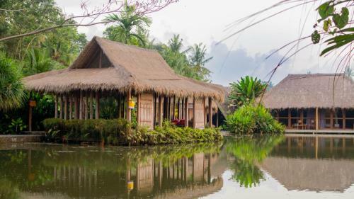 Hotel Sapu Lidi Resort Spa And Gallery