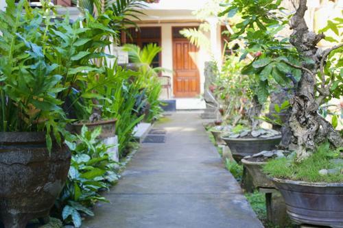 Hotel Agung And Sue Watering Hole I