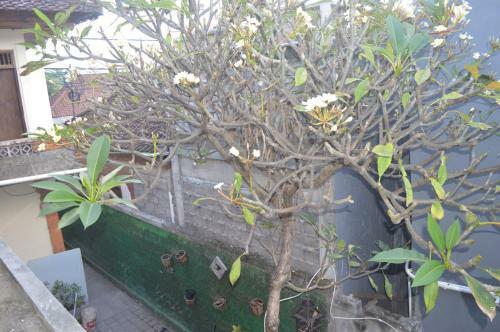 Sri Deva Guest House