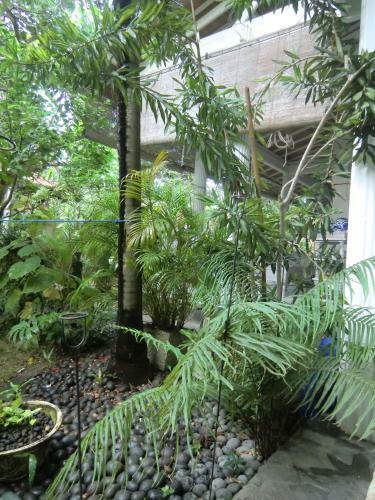 Shady Grove Healing Centre And Homestay