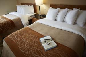 Hotel Comfort Inn Drummondville