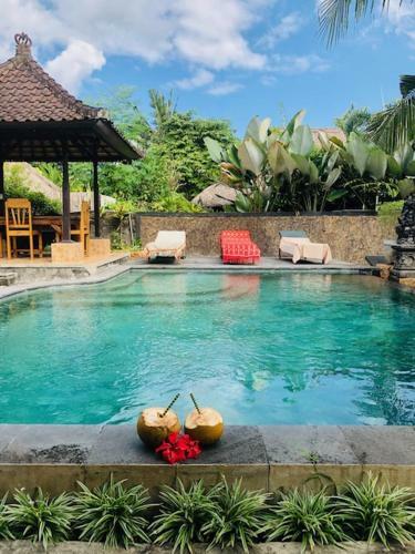 Albergue Dormy Inn Rumah Pakir