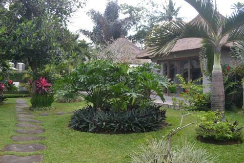 Suka's House Bed & Breakfast