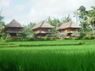 Hotel Agung Raka Resort And Villas