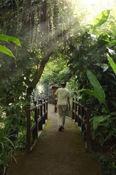 Hotel Warwick Ibah Luxury Villas & Spa
