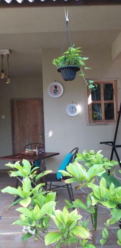 Hostal Little Elephant Cottage