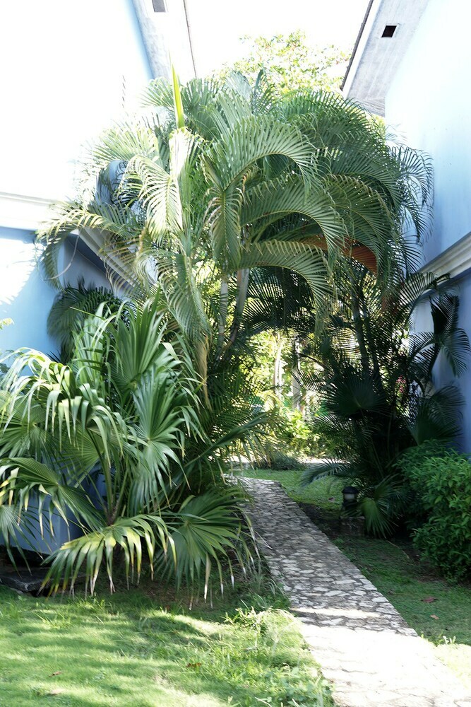 Hotel Beachcomber Club