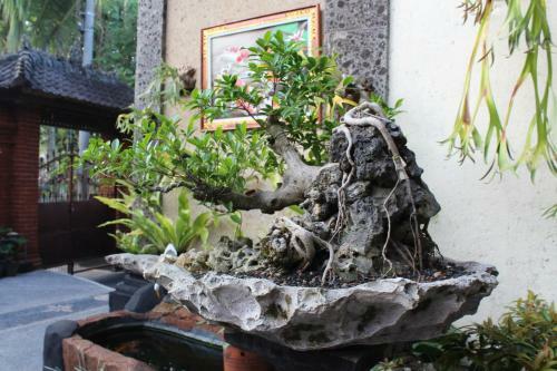Pondok Taman Asri Homestay