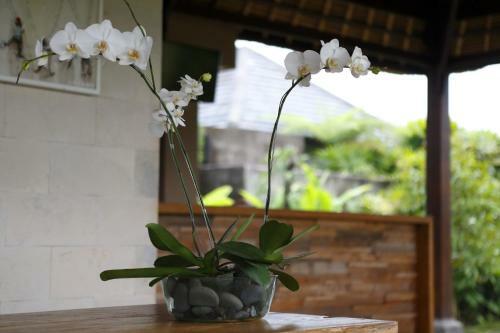 Villa Kayu Lama