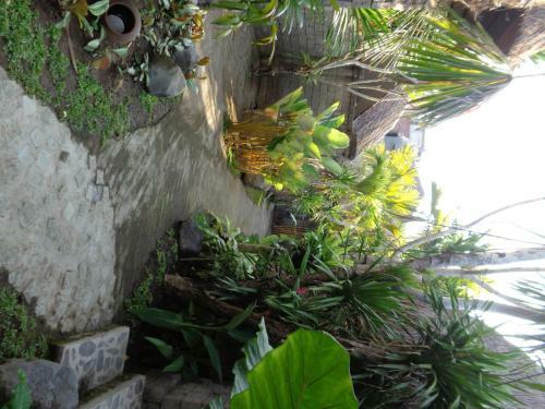 Bali Vidi Villas