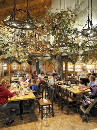 Hotel Great Wolf Lodge Niagara Falls