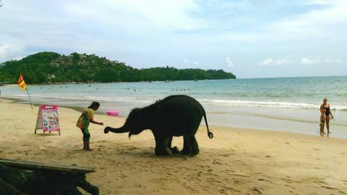 Hotel Bangtao Beach Chalet Resort