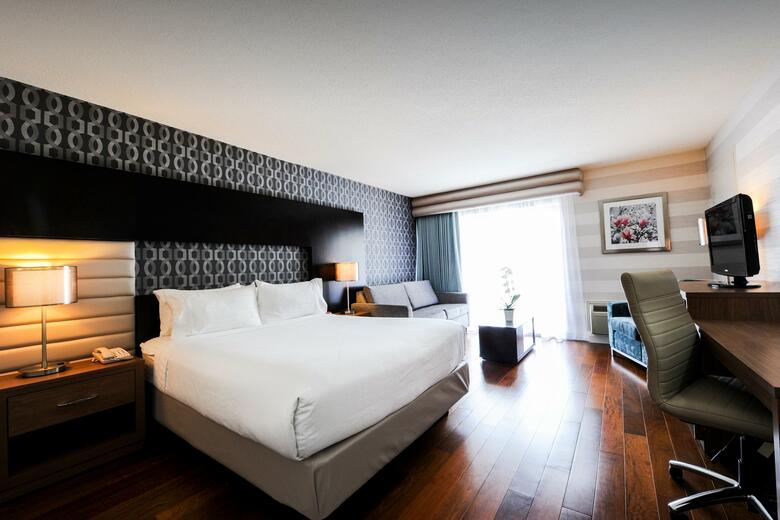 Hotel Holiday Inn Niagara Falls-by The Falls
