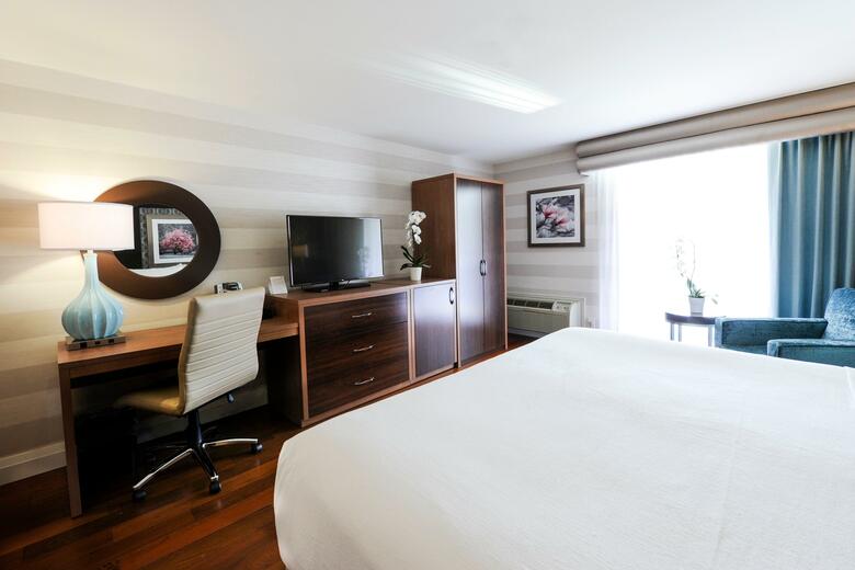 Hotel Holiday Inn Niagara Falls-by The Falls
