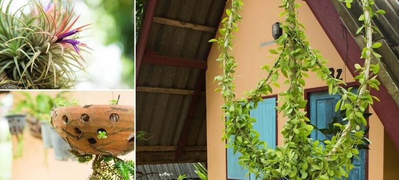Lodge Cashewnut Tree Bungalows