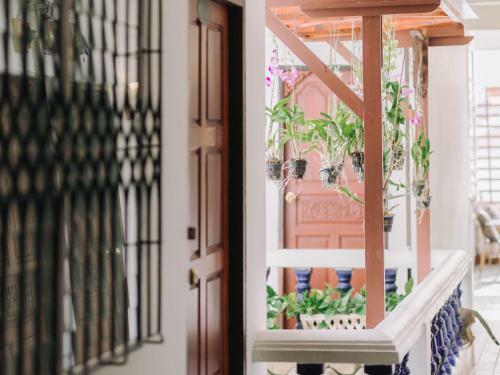 Hostal Rendezvous Guesthouse