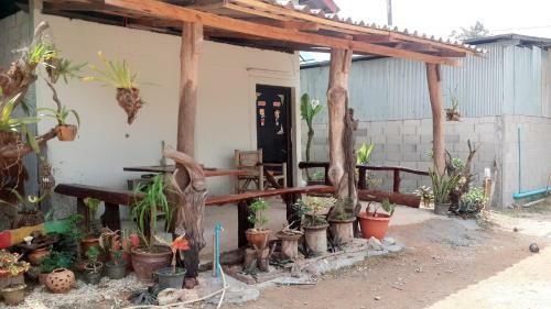 Unseen Bungalow