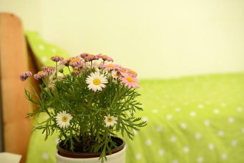 Apartamento Lulun Hotel