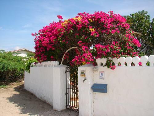 Villa Bougainvillea Aruba Rumba Suite