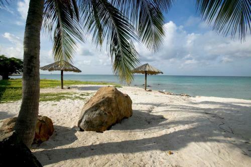 Villa Bougainvillea Aruba Rumba Suite