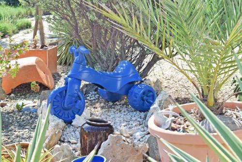 Villa Bougainvillea Aruba Rumba Suite