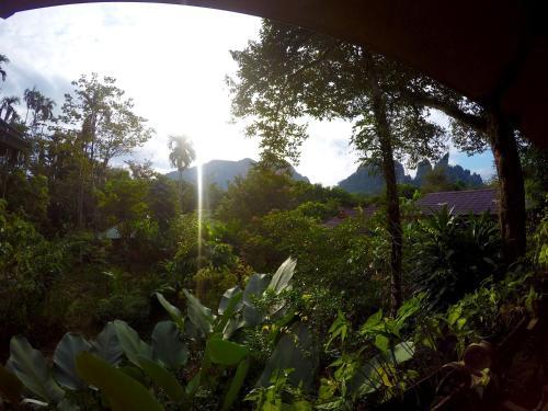 Hotel Khao Sok Morning Mist Resort