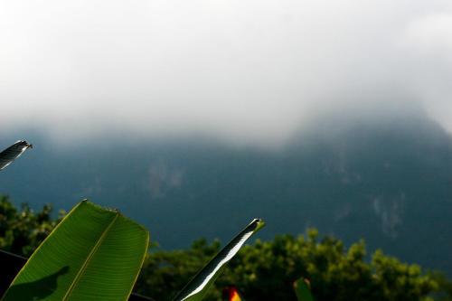 Hotel Khao Sok Morning Mist Resort