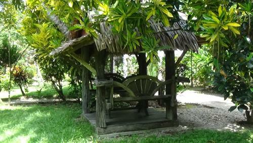 Hotel Tree Tops River Huts
