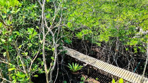 Hostal Baan Rim Nam