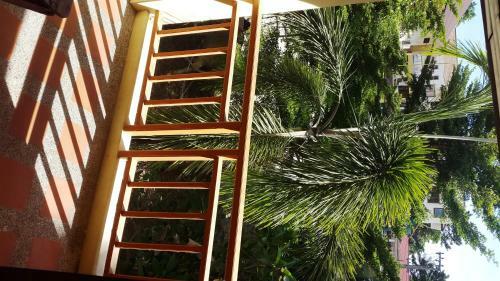 Posada Paddy's Palms Resort