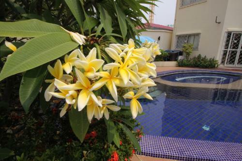 Apartamento Butterfly Garden, A Boutique Residence