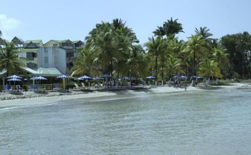Apartamento Appartement Gosier - Plage A 150 M